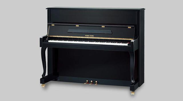 DW series piano